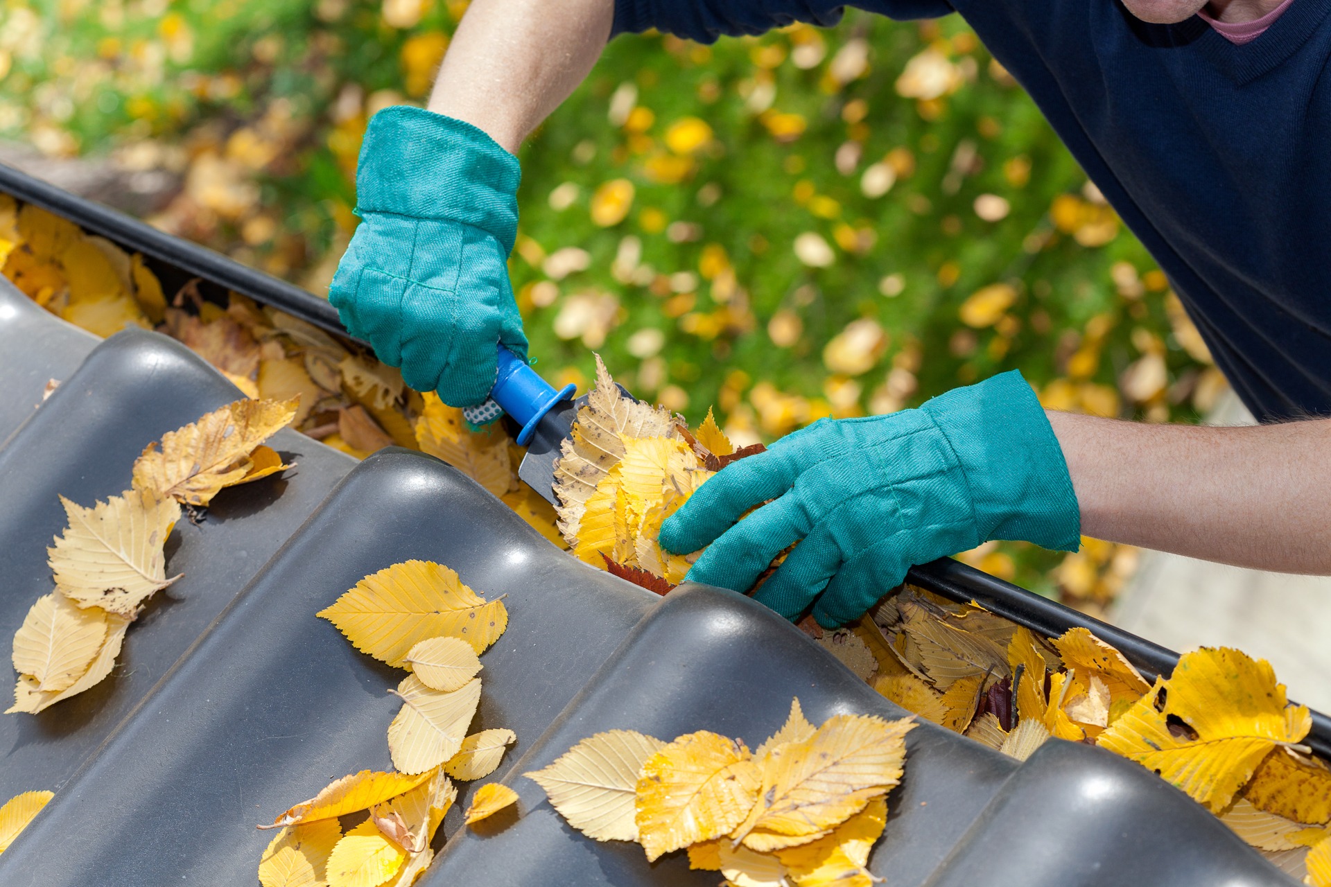 Gorilla Gutter Cleaning image